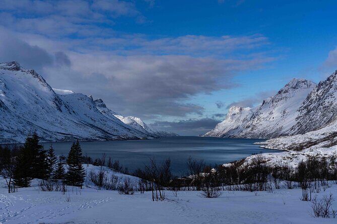 Tromsø: Fjords Tour with campfire and photos - A Deep Dive into the Tromsø Fjords Tour