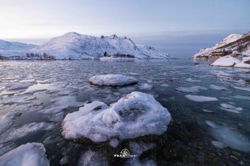 Tromso: Guided Fjord Expedition in Kvaløya with Light Lunch - Exploring the Fjords and Wildlife of Tromsø