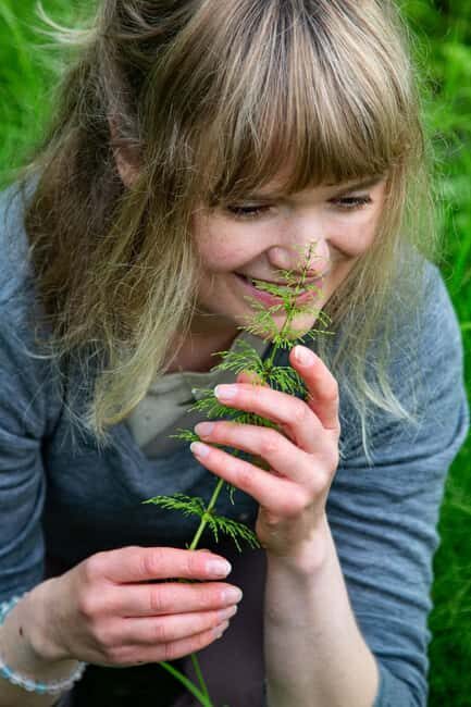 Tromsø: Guided Forest Bathing Experience - Who Would Benefit Most?
