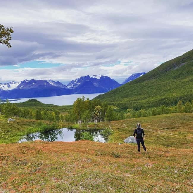 Tromsø: Guided Hiking Tour with Roundtrip Transfers - Who Should Book This Tour?