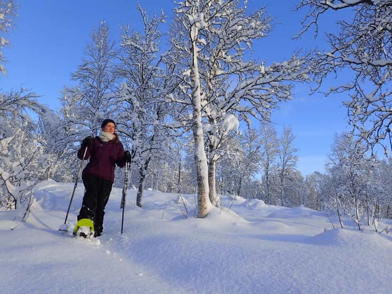 Tromsø: Guided snowshoe trip with a campfire - Exploring the Tromsø Snowshoe Experience in Detail