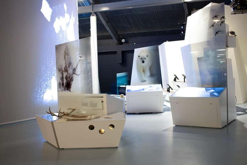 Tromsø: Guided Tour of Polaria - Why This Tour Matters for Your Tromsø Visit