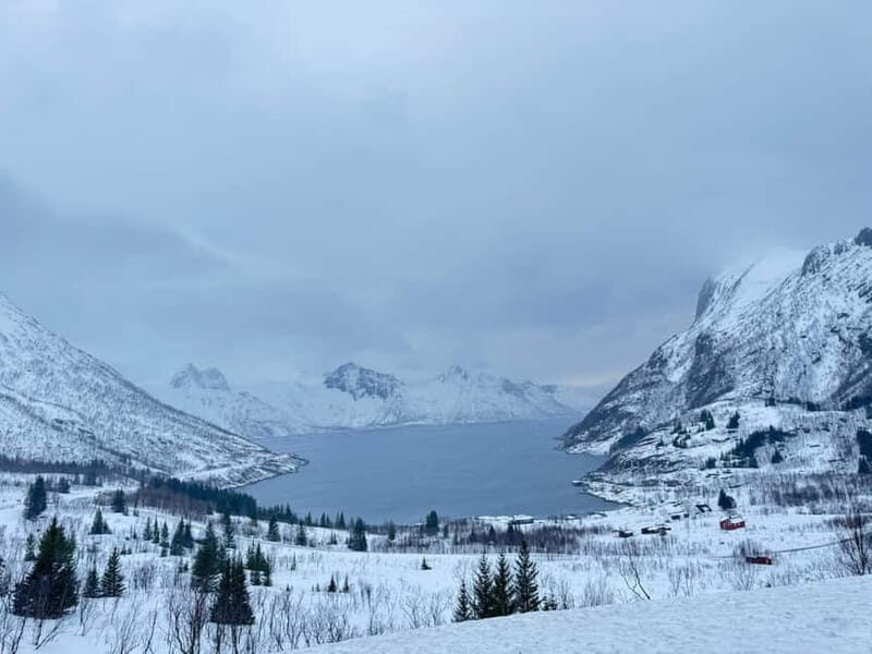 Tromsø Half-Day Tour: Fjords & Sommarøy Adventure - Exploring the Tromsø Half-Day Tour in Detail