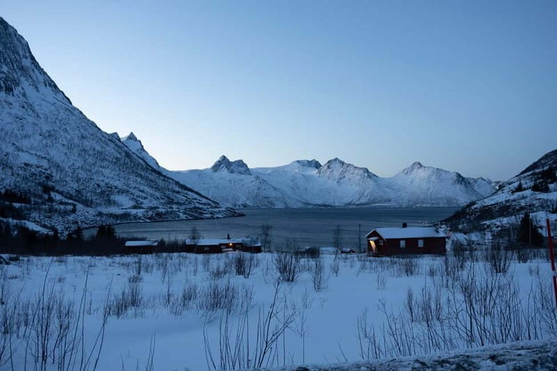 Tromsø Half-Day Tour: Fjords & Sommarøy Adventure - Potential Drawbacks and Considerations