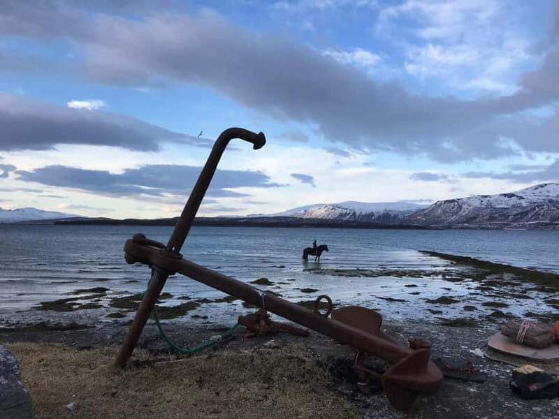Tromsø: Horseback Riding Tour vinter/summer - Tromsø: Horseback Riding Tour vinter/summer — A Deep Dive into Norways Horse-Loving Wilderness