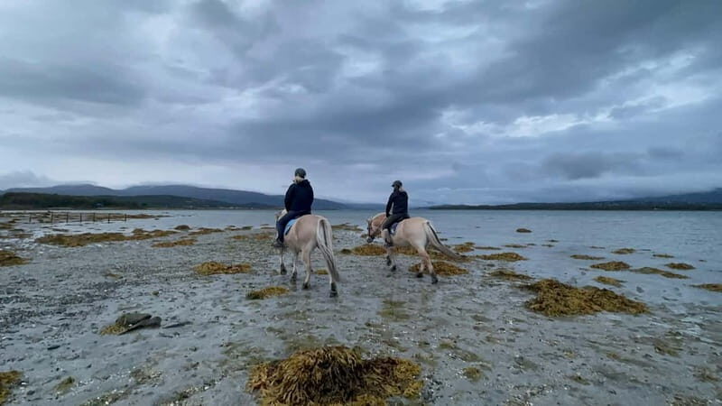 Tromsø: Horseback Riding Tour vinter/summer - FAQ