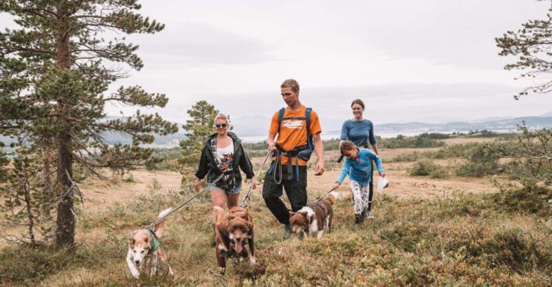 Tromsø: Husky Hike and Puppy Visit with Traditional Lunch - What Makes This Tour Stand Out?