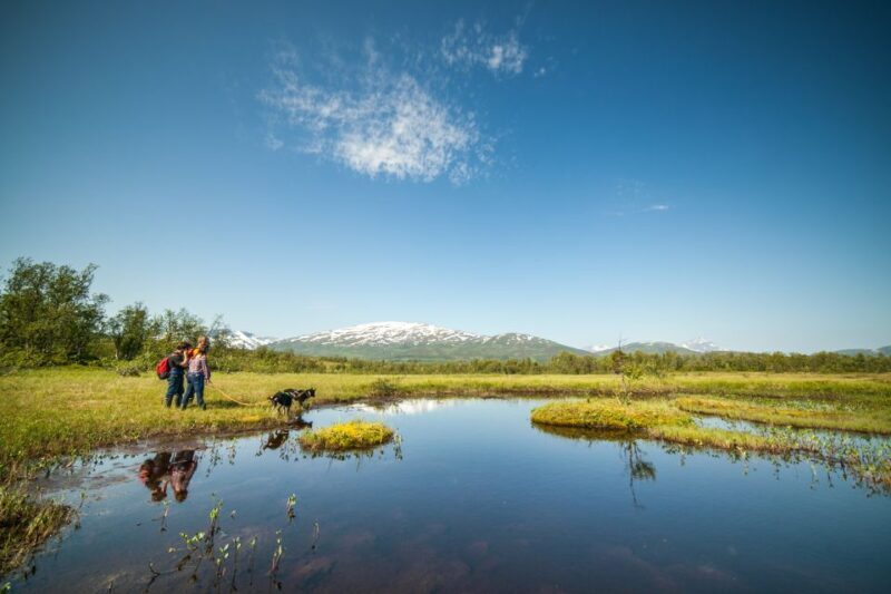 Tromsø: Husky Hike and Puppy Visit with Traditional Lunch - Who Should Consider This Tour?