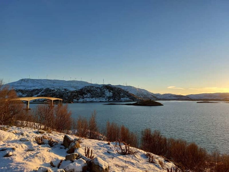 Tromsø: Island of Kvaløya Scenic Sightseeing Minibus Tour - Wildlife and Nature Encounters