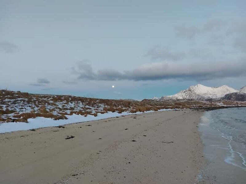 Tromsø: Island of Kvaløya Scenic Sightseeing Minibus Tour - Practical Details and Value
