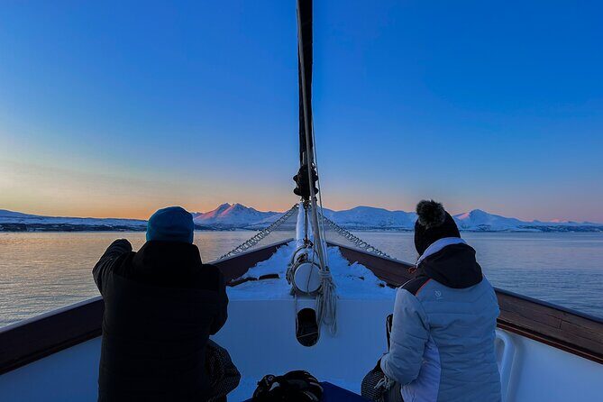 Tromso Luxury Sailing Yacht Polar Fjord Cruise with Lunch - A Deep Dive into the Tromso Luxury Yacht Fjord Cruise