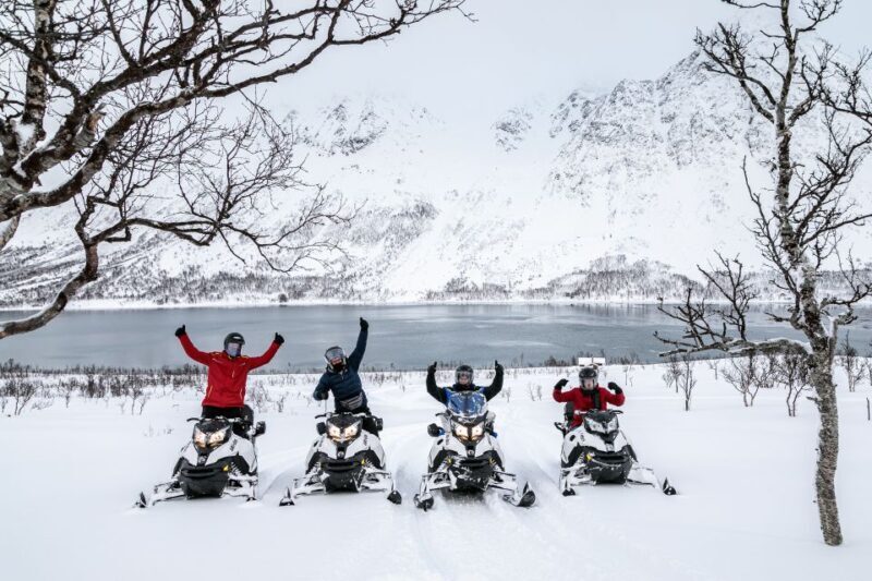 Tromsø: Lyngen Alps Snowmobile Safari - Practical Details and Value