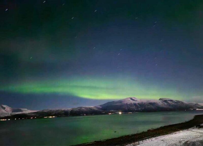 Tromsø: Lyngen Horse Winter Evening Riding Experience - Key Points