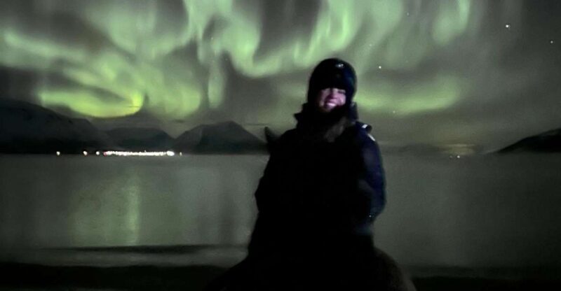 Tromsø: Lyngen Horse Winter Evening Riding Experience - An Introduction to the Experience