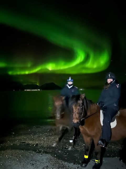 Tromsø: Lyngen Horse Winter Evening Riding Experience - Authentic Experiences Highlighted by Participants