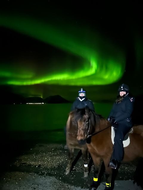 Tromsø: Lyngen Horse Winter Evening Riding Experience - Who Should Consider This Tour?