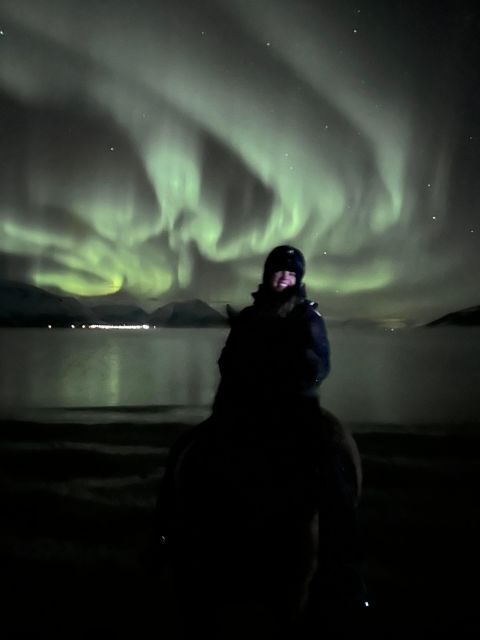 Tromsø: Lyngen Horse Winter Evening Riding Experience - The Sum Up