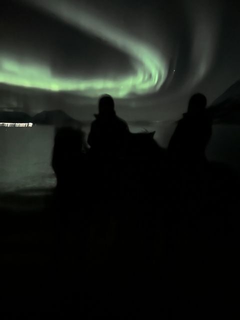 Tromsø: Lyngen Horse Winter Evening Riding Experience - FAQ
