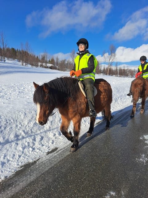 Tromsø: Lyngen Horse Winter Riding Experience - Practical Tips for Travelers