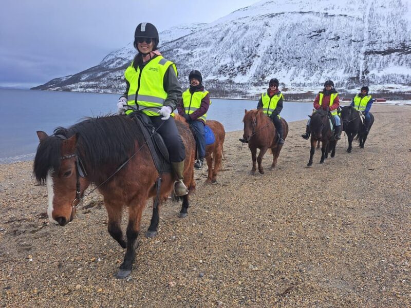 Tromsø: Lyngen Horse Winter Riding Experience - Authenticity and Value