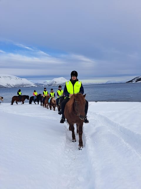 Tromsø: Lyngen Horse Winter Riding Experience - FAQs