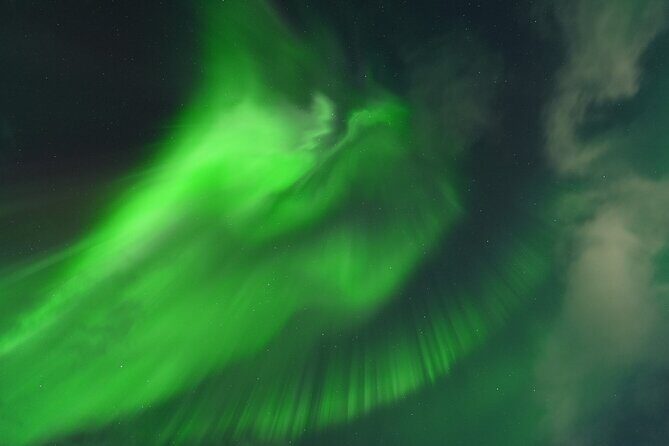 Tromsø: Northern Light tour with free complimentary photos. - A detailed look at the Tromsø Northern Lights experience
