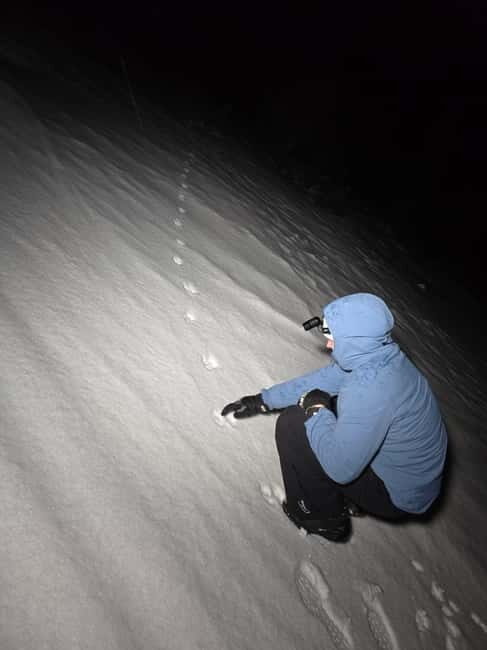 Tromsø: Northern Lights and a Starlit Adventure Tour - Practical Details and Tips