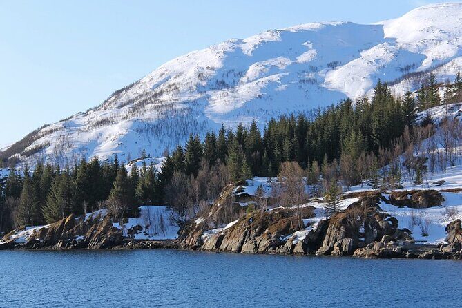 Tromsø, Northern Lights and Wilderness Evening Catamaran Cruise - Key Points