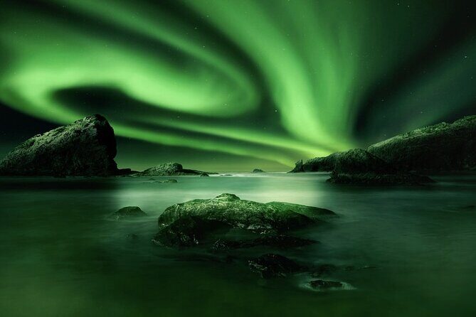 Tromsø, Northern Lights and Wilderness Evening Catamaran Cruise - The Real Experience: Feedback from Travelers