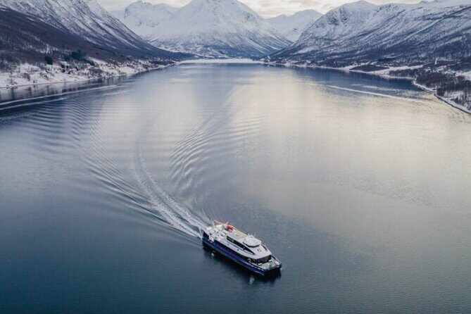 Tromsø, Northern Lights and Wilderness Evening Catamaran Cruise - Final Thoughts