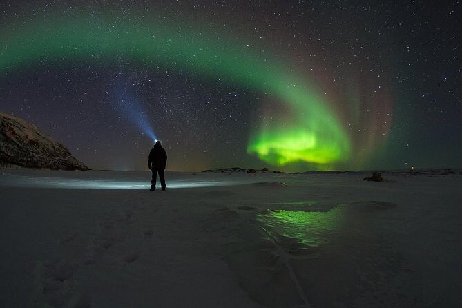 Tromsø: Northern Lights Chase Minibus Tour - Tromsø: Northern Lights Chase Minibus Tour – The Complete Review