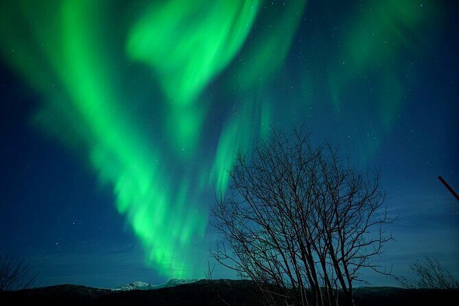 Tromsø: Northern Lights Chase Minibus Tour - Key Points