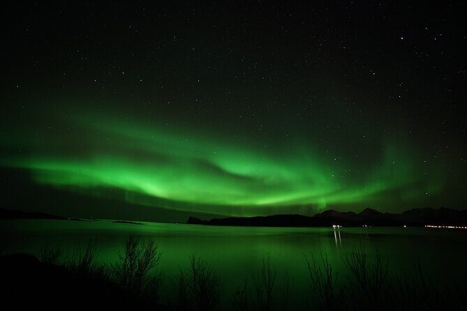Tromsø: Northern Lights Chase Minibus Tour - FAQ