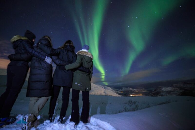 Tromsø: Northern Lights Guided Bus Tour - A Closer Look at the Tromsø Northern Lights Bus Tour