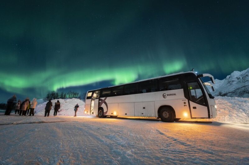 Tromsø: Northern Lights Guided Bus Tour - FAQ