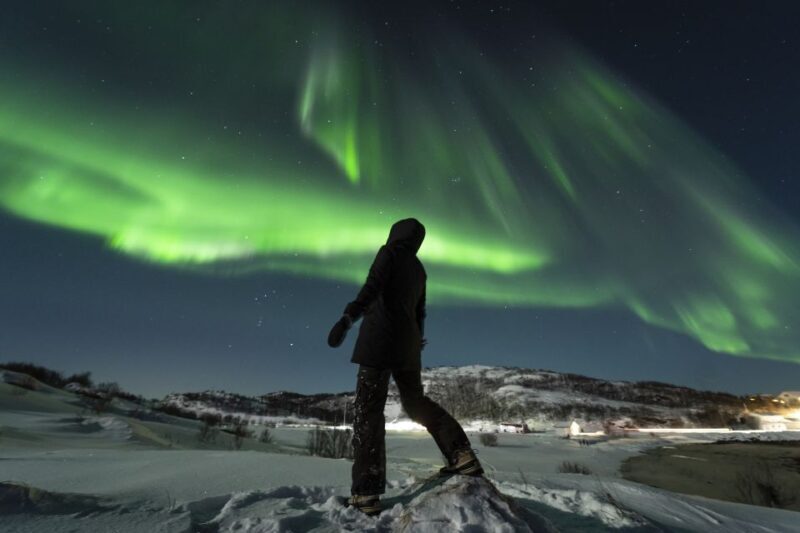 Tromsø: Northern Lights Guided Bus Tour - Final Thoughts