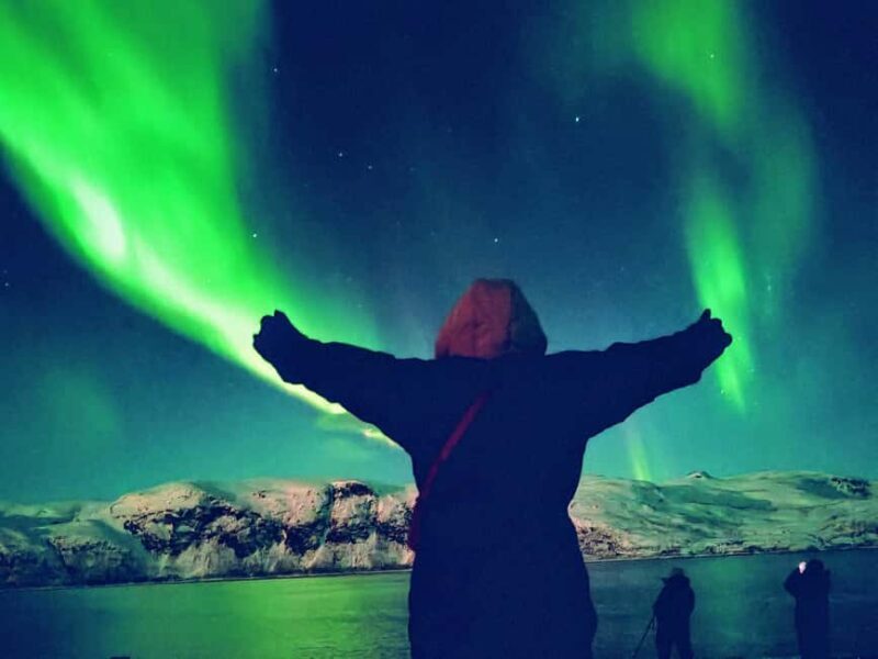 Tromsø: Northern Lights Guided Tour with Bonfire and Snacks - A Deep Dive into the Tromsø Northern Lights Tour
