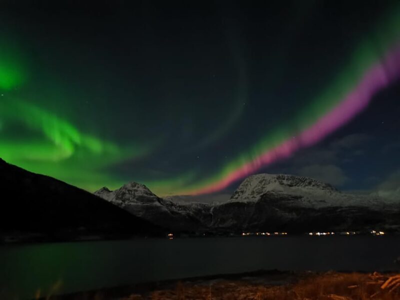 Tromsø: Northern Lights Hunt. Local Guide, Private Basecamp. - Summary