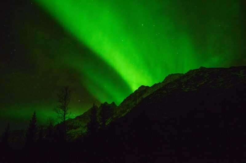 Tromsø: Northern Lights Hunt, private tour - FAQ