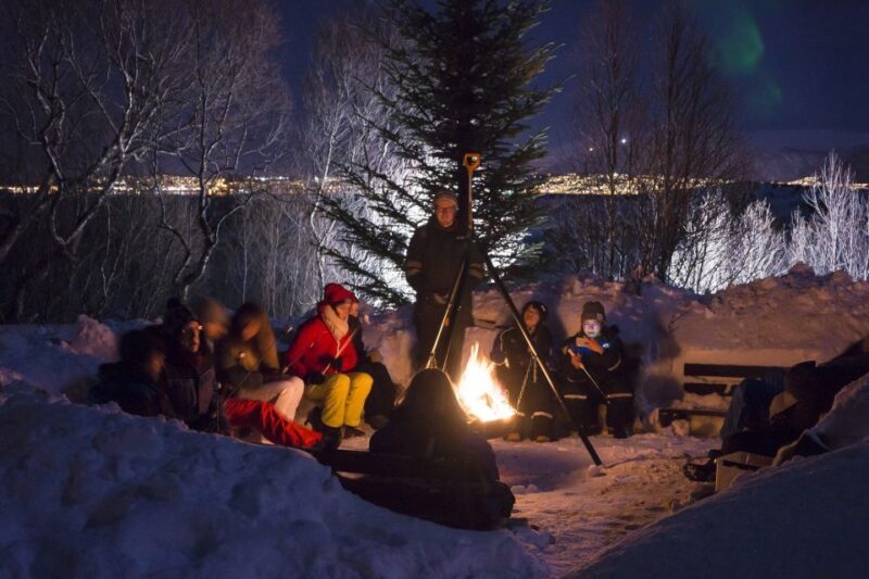 Tromsø: Northern Lights Husky Visit with Traditional Dinner - Tromsø: Northern Lights Husky Visit with Traditional Dinner