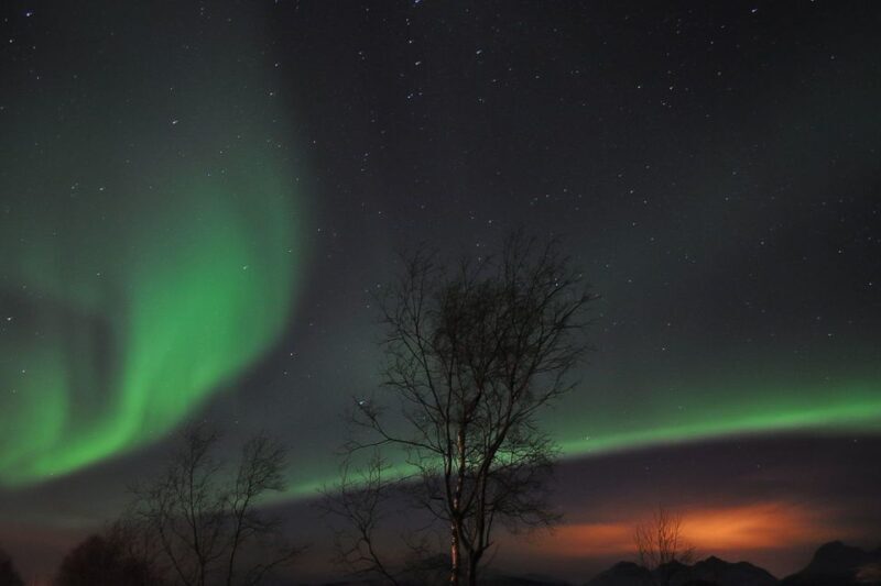 Tromsø: Northern Lights Husky Visit with Traditional Dinner - Key Points