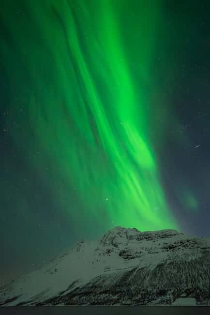 Tromsø: Northern lights in a minibus, including photos and a warm meal! - Overview: Tromsø’s Northern Lights Tour with Blue Puffin
