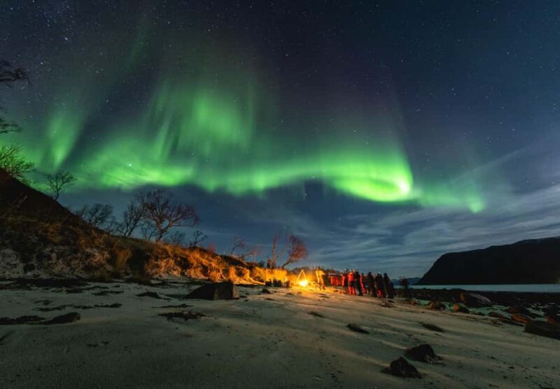 Tromsø: Northern lights in a minibus, including photos and a warm meal! - Why This Tour Offers Good Value