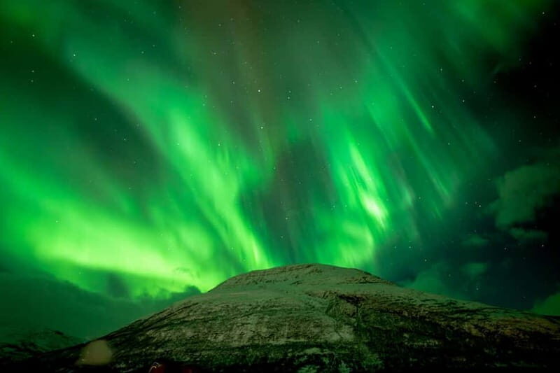 Tromsø: Northern lights in a minibus, including photos and a warm meal! - Final Word