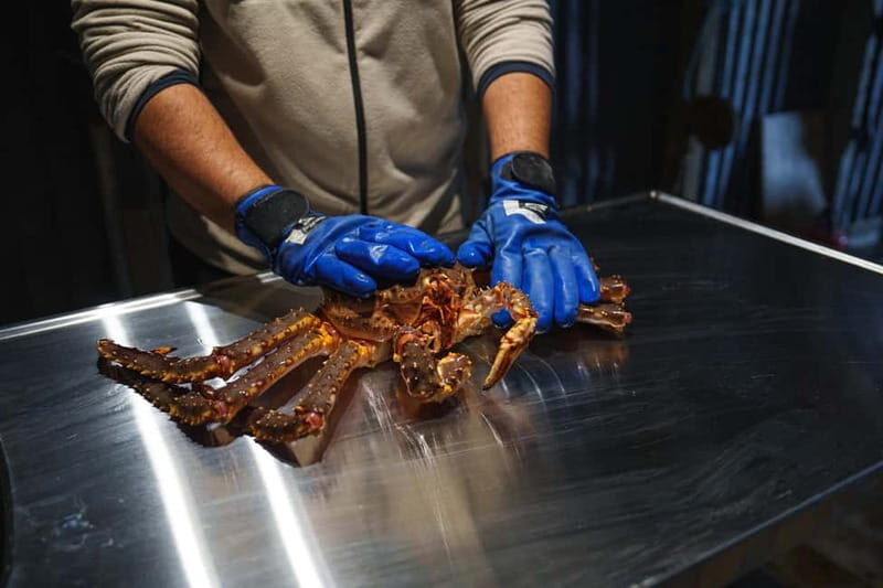 Tromsø: Northern Lights Live King Crab Dinner by the Sea - The Experience in Detail