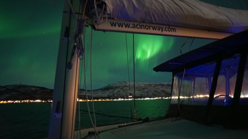 Tromsø: Northern Lights Luxury Catamaran Cruise - The Experience in a Nutshell