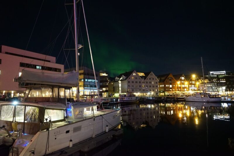 Tromsø: Northern Lights Luxury Catamaran Cruise - Key Points
