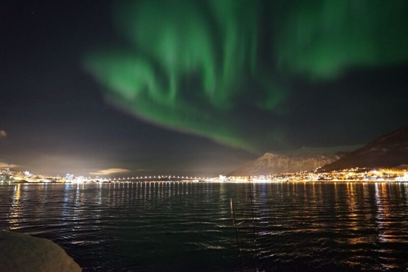 Tromsø: Northern Lights Luxury Catamaran Cruise - Food, Comfort, & Extras
