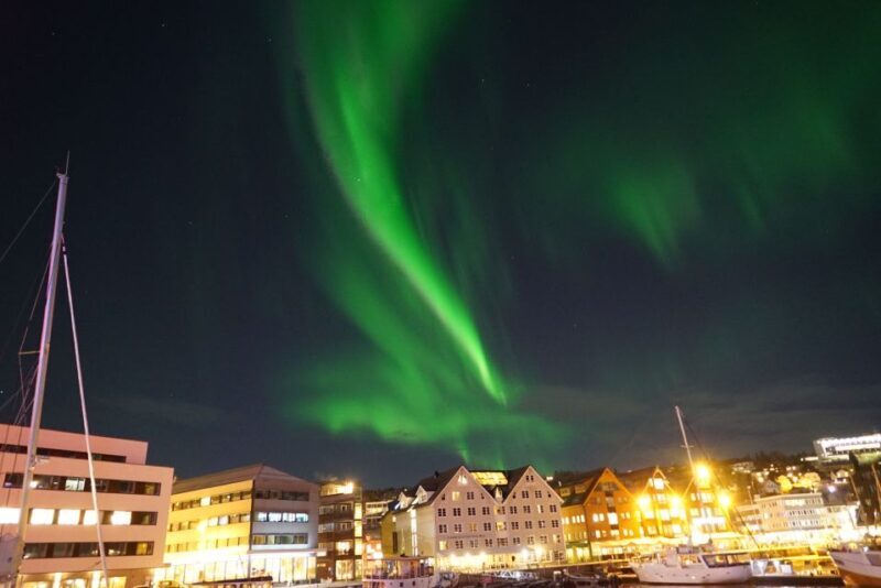 Tromsø: Northern Lights Luxury Catamaran Cruise - Who Will Love This Tour?