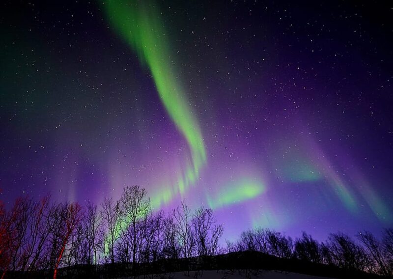 Tromso: Northern Lights Minibus Tour with Campfire - Key Points